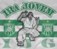/album/ira-jovem-gama-ijg-/bandeira-ijg-inedita-jpg/